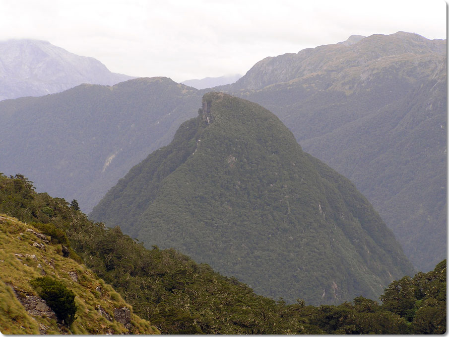 Tripod Hill Closeup 