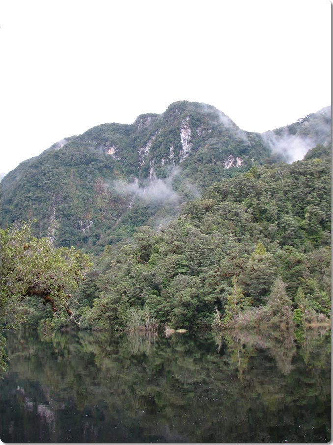 Across The Seaforth River