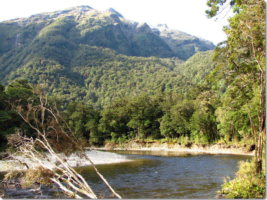 Wapiti River Near Hankinson Hut