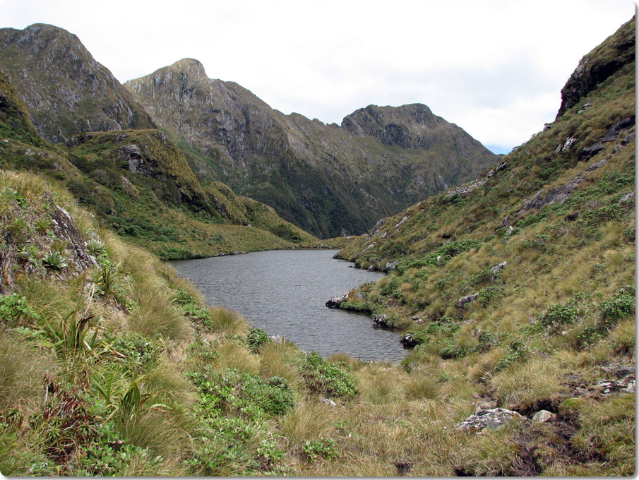 Henry Saddle Tarn