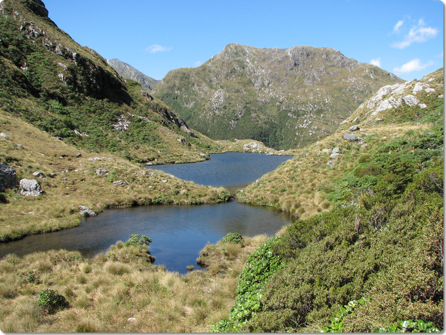 Henry Saddle Tarns