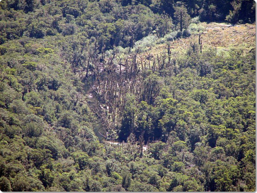 Muddy Section Near Slip